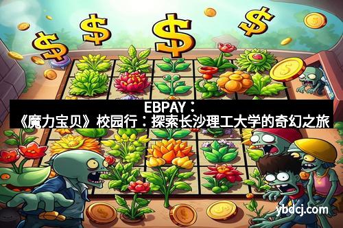 EBPAY：《魔力宝贝》校园行：探索长沙理工大学的奇幻之旅